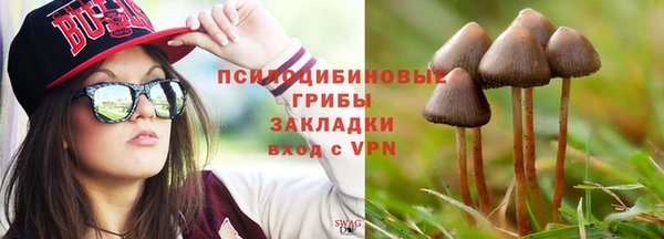 дживик Богородицк