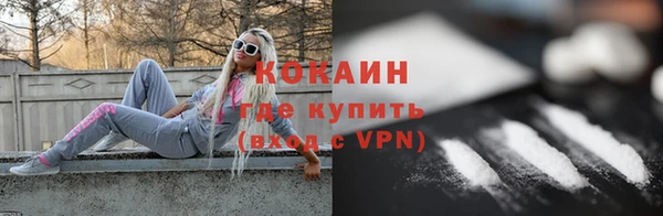 дживик Богородицк