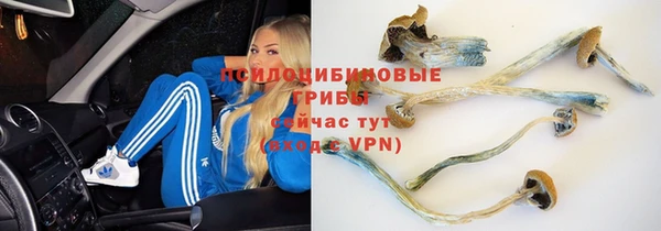 дистиллят марихуана Богданович