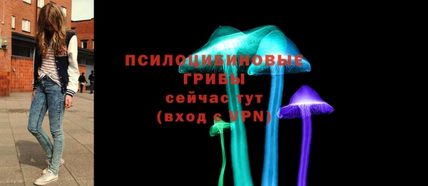 эйфоретик Богородск
