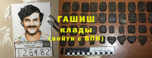дживик Богородицк